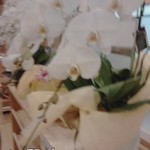 コメダ珈琲店 花小金井店 - 