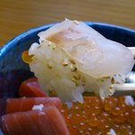 鮨 来多老 - 鯛。