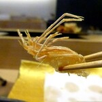 梅田 鮨 よこ田 - 