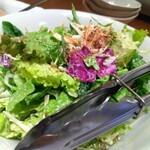 肉居酒屋 ひろしん家 - 野菜サラダ。