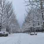 らー麺　Do・Ni・Bo - 山形県総合運動公園☃️