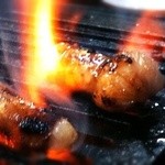 ホルモン３連勝