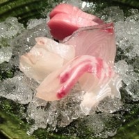 魚匠 銀平 道頓堀店 - 