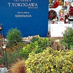 T.YOKOGAWA - 