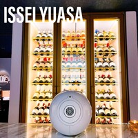 ISSEI YUASA - 