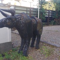 飛騨牛グリルばくろ - 