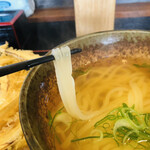 大地のうどん 本店 - 透き通ったうどん♡美味し