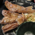 賀露港・市場食堂 - 赤ハタ･･･ハツメという魚です