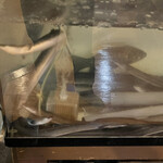 八べえ - 坂東太郎