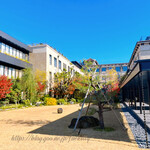 BENOIT Kyoto Alain Ducasse - 