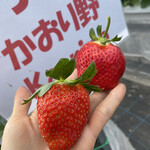 姫路ハートフル観光農園 - 