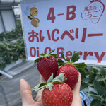 姫路ハートフル観光農園 - 