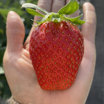 姫路ハートフル観光農園 - 