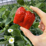 姫路ハートフル観光農園 - 