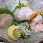 Hamakko Shokudou - 天然地魚３点盛り（ヒラメ、マダイ、ホウボウ）