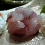 萌えぎ - 飛び魚