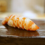 鮨 たかはし - 車海老