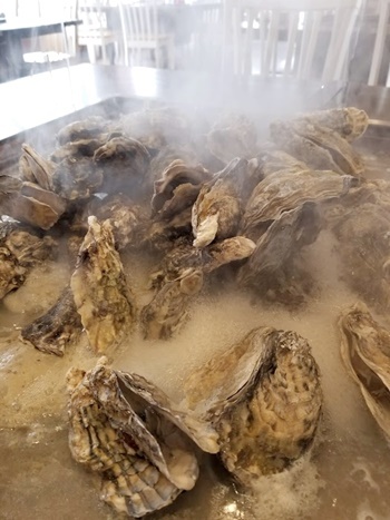 塩竈かき小屋 本店（塩釜かき小屋） - 東塩釜（シーフード）の写真