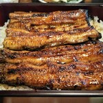 うなぎ 川松 - 鰻1匹分を使用した鰻重