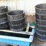 うなぎ 川松 - 生け簀