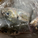 東和鮮魚 - 刺身でもいける煮付け用アジ。捌いてくれてます。