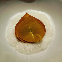 レフェルヴェソンス - 