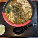 水沢うどん 松島屋 - 山菜カレーうどん