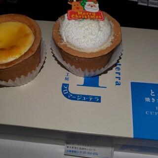 フロマージュ・テラ_0