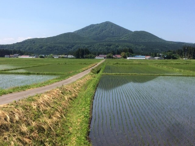 にるばな &ndash; 池月 | 加美町の居酒屋