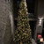 カールヴァーン ブルワリー＆レストラン  - その他写真:クリスマスツリー
