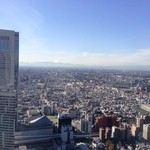 ニューヨーク・グリル - 52階からの景色