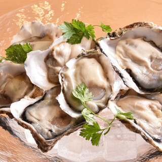 We offer the best Oyster of the day from all over the country! You can also enjoy the differences in production areas.