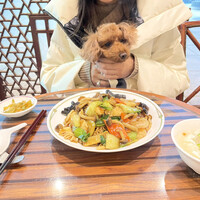 潮夢来 - 