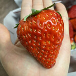 姫路ハートフル観光農園 - 