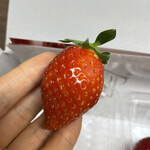 姫路ハートフル観光農園 - かんな姫