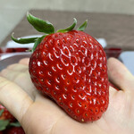 姫路ハートフル観光農園 - 