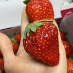 姫路ハートフル観光農園 - 