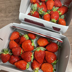 姫路ハートフル観光農園 - 