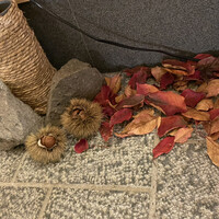 すし処 めくみ - 