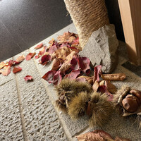 すし処 めくみ - 