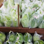 旬彩 やちよ - 中にも白菜!