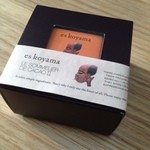 パティシエ エス コヤマ - ソムリエ・ド・カカオII 阪急うめだバレンタインフェア（2012年2月）