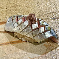 鮨　まつ本 - ぴっかぴかの秋刀魚　ワタを乗せて苦旨くしてあります