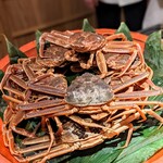 富小路 やま岸 - 