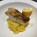 三和 - 長崎産 のどぐろの炭火焼きとサフランのリゾット 柚子