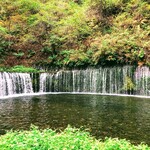 丸山珈琲  - 白糸の滝