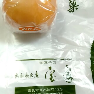 大和雅匠庵 宝家_0