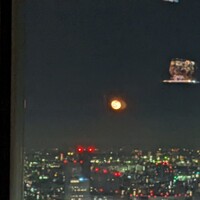 広東料理 センス - 