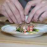 ペレグリーノ - 