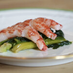 ペレグリーノ - 